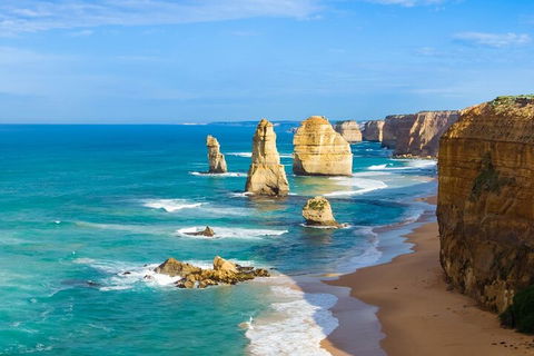 LGBT+ Friendly 3 Day Private Tour Great Ocean Road & Phillip Island - Timeshare Accommodation 4