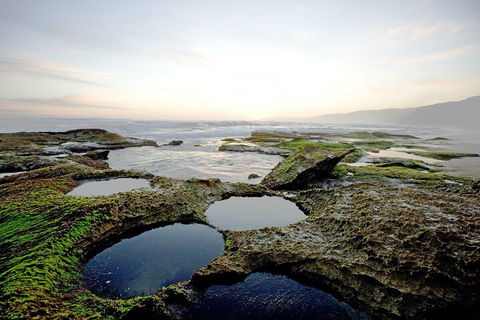 LGBT+ Friendly 3 Day Private Tour Great Ocean Road & Phillip Island - Timeshare Accommodation 5