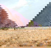 Uluru Sunrise and Guided Base Walk - Timeshare Accommodation