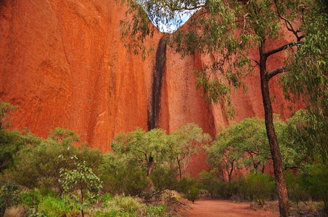 Uluru Sunrise And Guided Base Walk - Timeshare Accommodation 3