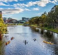 Adelaide City Kayak Tour - Timeshare Accommodation