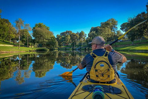 Adelaide City Kayak Tour - Timeshare Accommodation 5