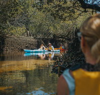 Kayak Tour in Adelaide Dolphin Sanctuary - Timeshare Accommodation
