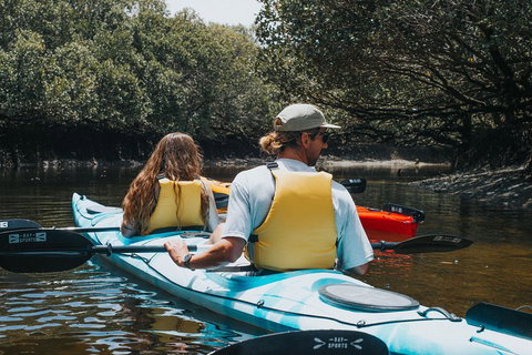 Kayak Tour In Adelaide Dolphin Sanctuary - Timeshare Accommodation 2