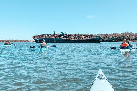 Kayak Tour In Adelaide Dolphin Sanctuary - Timeshare Accommodation 3