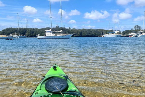 Kayak Tour In Adelaide Dolphin Sanctuary - Timeshare Accommodation 4