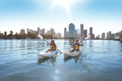 Brisbane Kayak Tour - Timeshare Accommodation 0