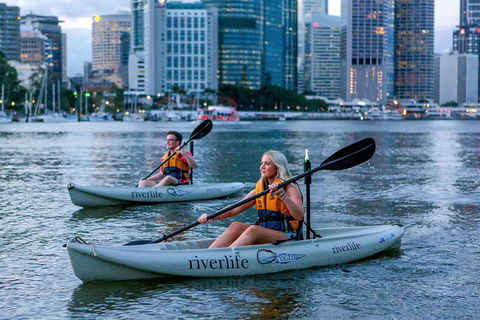Brisbane Kayak Tour - Timeshare Accommodation 3