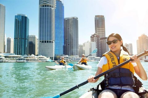 Brisbane Kayak Tour - Timeshare Accommodation 5