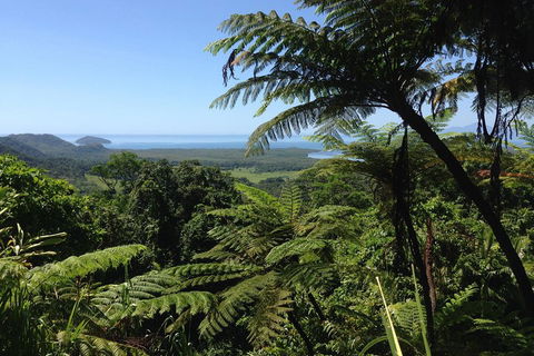 Daintree And Cape Tribulation Full Day Guided Tour - Timeshare Accommodation 2