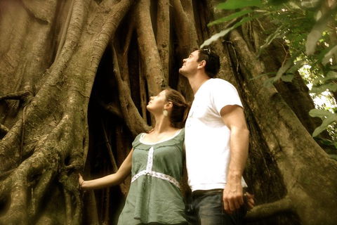 Daintree And Cape Tribulation Full Day Guided Tour - Timeshare Accommodation 5