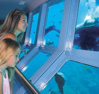 Quicksilver Outer Great Barrier Reef Snorkel Cruise from Palm Cove - Timeshare Accommodation
