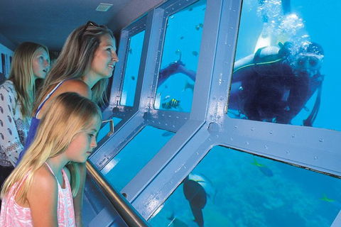 Quicksilver Outer Great Barrier Reef Snorkel Cruise From Palm Cove - Timeshare Accommodation 0