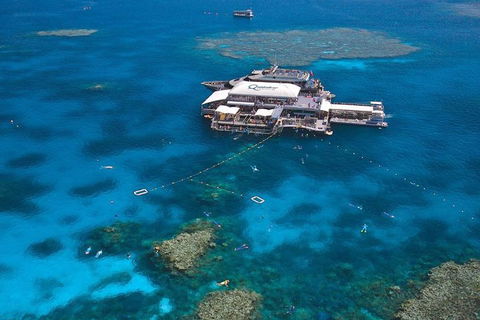 Quicksilver Outer Great Barrier Reef Snorkel Cruise From Palm Cove - Timeshare Accommodation 1