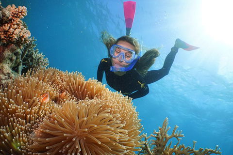 Quicksilver Outer Great Barrier Reef Snorkel Cruise From Palm Cove - Timeshare Accommodation 2