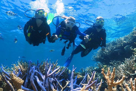 Quicksilver Outer Great Barrier Reef Snorkel Cruise From Palm Cove - Timeshare Accommodation 3