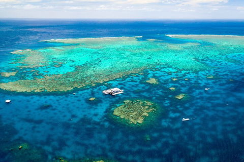 Quicksilver Outer Great Barrier Reef Snorkel Cruise From Palm Cove - Timeshare Accommodation 4