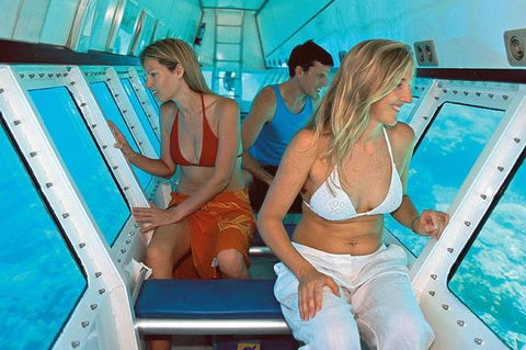 Quicksilver Outer Great Barrier Reef Snorkel Cruise From Palm Cove - Timeshare Accommodation 5