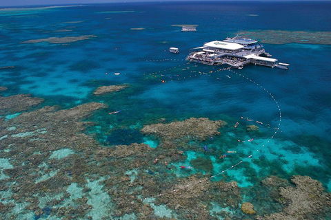 Quicksilver Outer Great Barrier Reef Snorkel Cruise From Port Douglas - Timeshare Accommodation 3