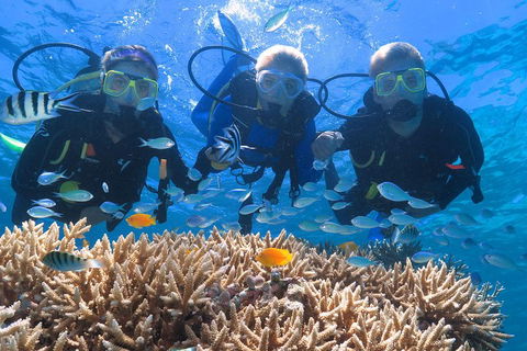 Quicksilver Outer Great Barrier Reef Snorkel Cruise From Port Douglas - Timeshare Accommodation 4