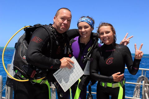 Quicksilver Dive 4 Day PADI Learn To Dive Course - Timeshare Accommodation 0