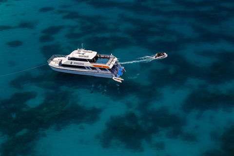 Quicksilver Dive 4 Day PADI Learn To Dive Course - Timeshare Accommodation 1