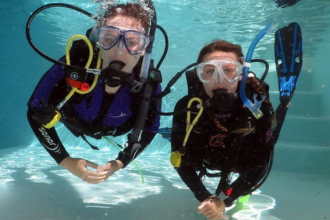 Quicksilver Dive 4 Day PADI Learn To Dive Course - Timeshare Accommodation 2