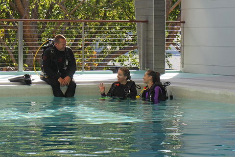 Quicksilver Dive 4 Day PADI Learn To Dive Course - Timeshare Accommodation 3