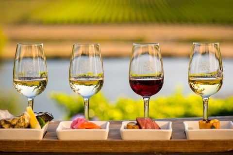 West Tamar Wine Tour - Timeshare Accommodation 1
