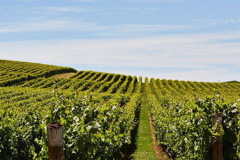 West Tamar Wine Tour - Timeshare Accommodation 2
