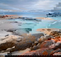 Wineglass Bay Private Charter Service - Timeshare Accommodation