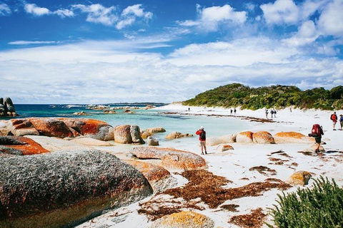 Wineglass Bay Private Charter Service - Timeshare Accommodation 3