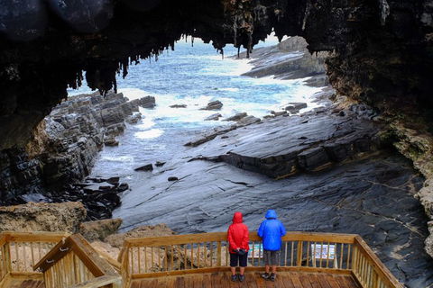 Full-Day Kangaroo Island Safari From Penneshaw - Timeshare Accommodation 1