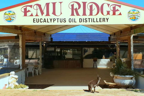 Full-Day Kangaroo Island Safari From Penneshaw - Timeshare Accommodation 2