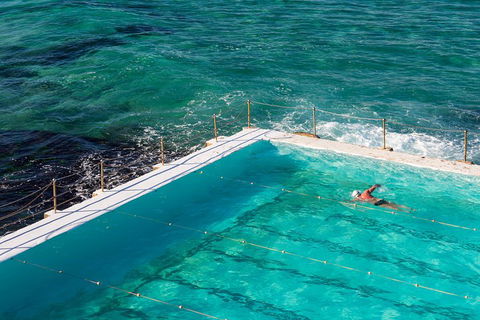 Small Group Essential Sydney Tour Including Lunch - Timeshare Accommodation 5