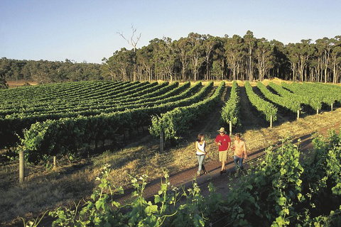 Margaret River, Caves, Wine And Cape Leeuwin Lighthouse Tour From Perth - Timeshare Accommodation 1