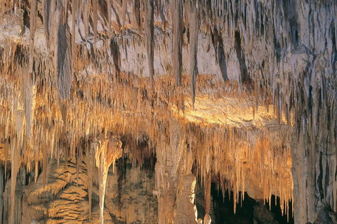 Margaret River, Caves, Wine And Cape Leeuwin Lighthouse Tour From Perth - Timeshare Accommodation 3
