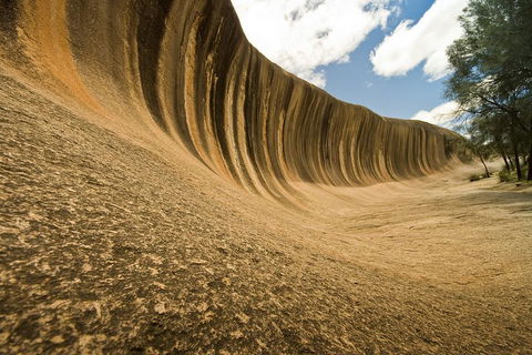 Wave Rock, York, Wildflowers, And Aboriginal Cultural Day Tour From Perth - Timeshare Accommodation 0