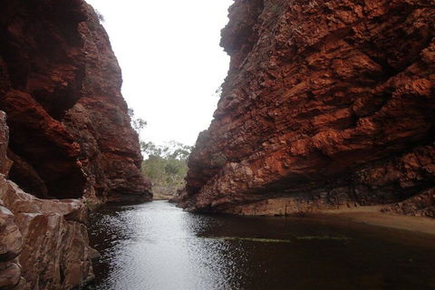 West MacDonnell Ranges Half - Day Tour - Timeshare Accommodation 4