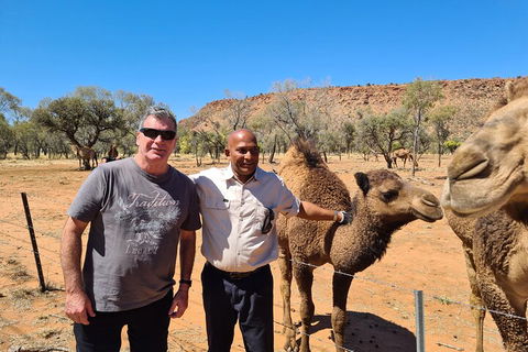 West MacDonnell Ranges Half-Day Small-Group Tour With Camel Ride - Timeshare Accommodation 1