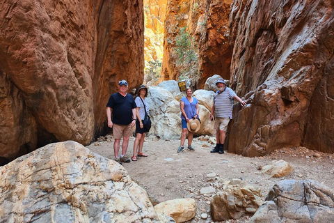 West MacDonnell Ranges Half-Day Small-Group Tour With Camel Ride - Timeshare Accommodation 4