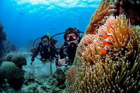 Full Day Reef Cruise Including 10 Minute Heli Scenic Flight: Get High Package - Timeshare Accommodation 5