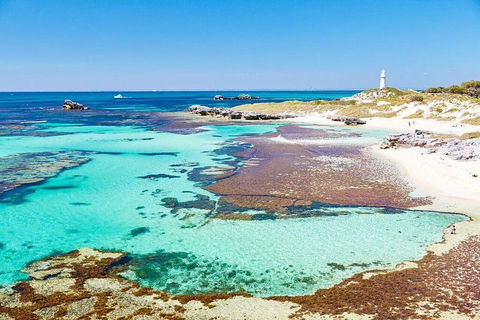 Fremantle To Rottnest Island Roundtrip Ferry Ticket - Timeshare Accommodation 2