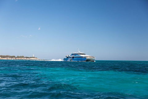 Fremantle To Rottnest Island Roundtrip Ferry Ticket - Timeshare Accommodation 5