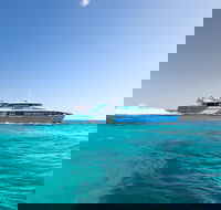 Rottnest Island Bike Snorkel  Ferry Package from Fremantle - Timeshare Accommodation
