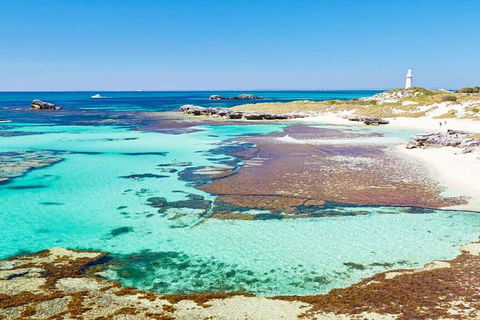 Rottnest Island Bike, Snorkel & Ferry Package From Perth - Timeshare Accommodation 5
