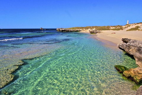 Rottnest Island Bayseeker Day Trip From Perth - Timeshare Accommodation 5