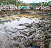 Hartley's Crocodile Adventures Day Trip from Palm Cove - Timeshare Accommodation