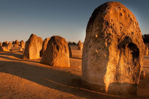 Wave Rock And Pinnacles Air & Ground Tour - Timeshare Accommodation 1