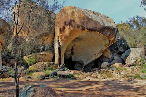 Wave Rock And Pinnacles Air & Ground Tour - Timeshare Accommodation 3
